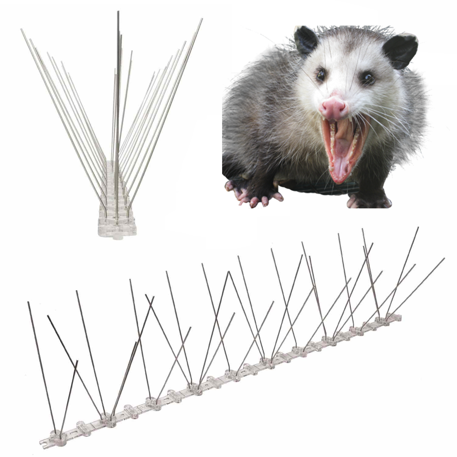 spikes to stop possums