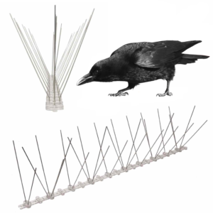 spikes to stop crows