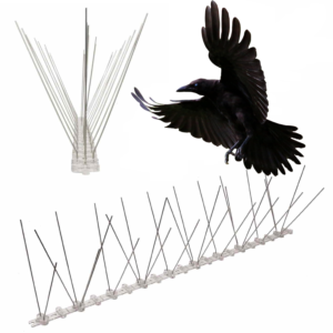 spikes to stop ravens