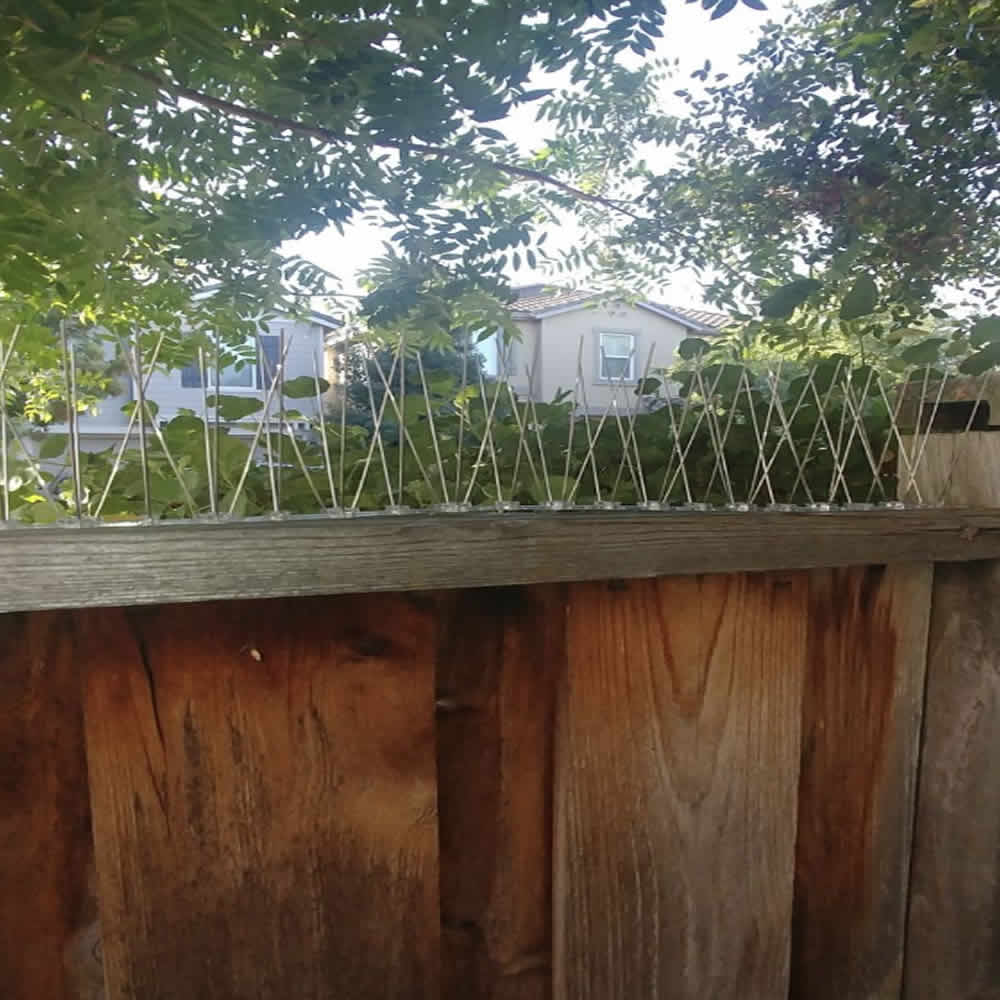 best spikes to stop pests on fences
