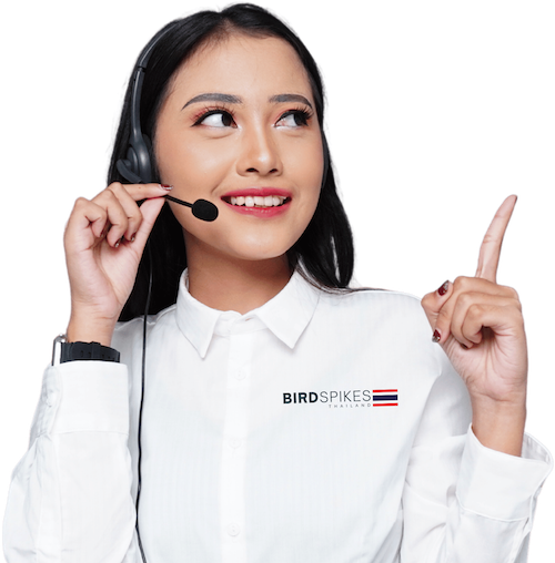 best thailand pest control products buy online