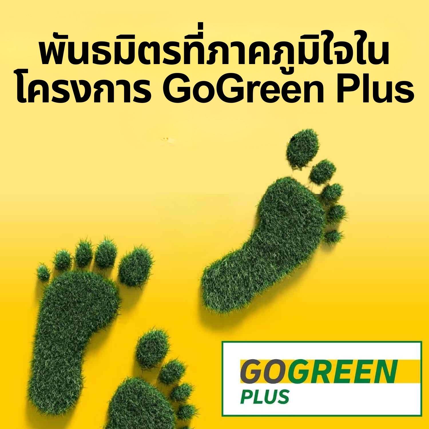 บริษัท-เขียว-ใกล้ฉัน